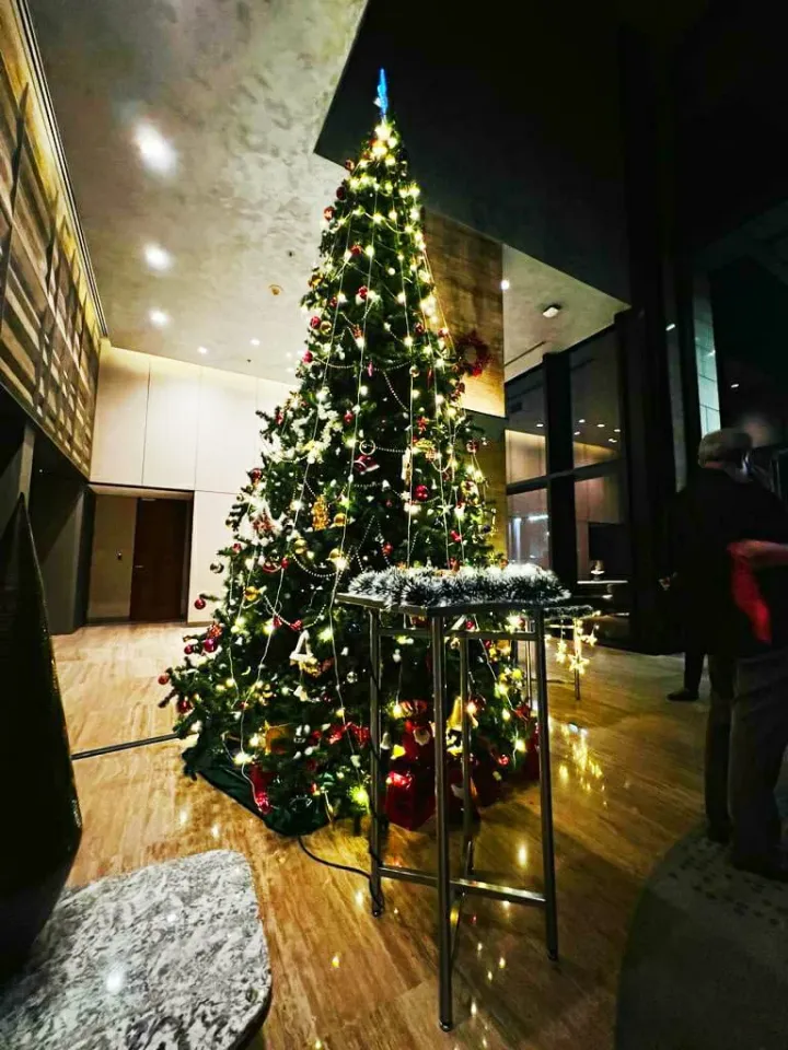 The Den Hotel Illuminates the Holiday Season with Spectacular Tree Lighting Ceremony