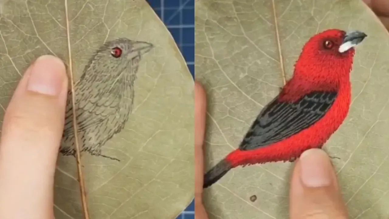 amazing art on dry leaves 