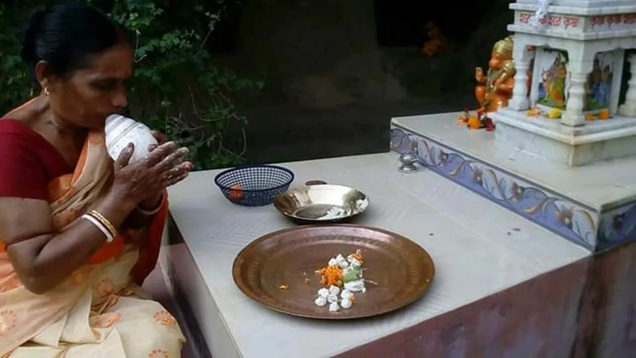 villages of Mahishadal there is a festive mood around Baris wedding: পূর্ব মেদিনীপুর মহিষাদল বড়ির বিয়ে