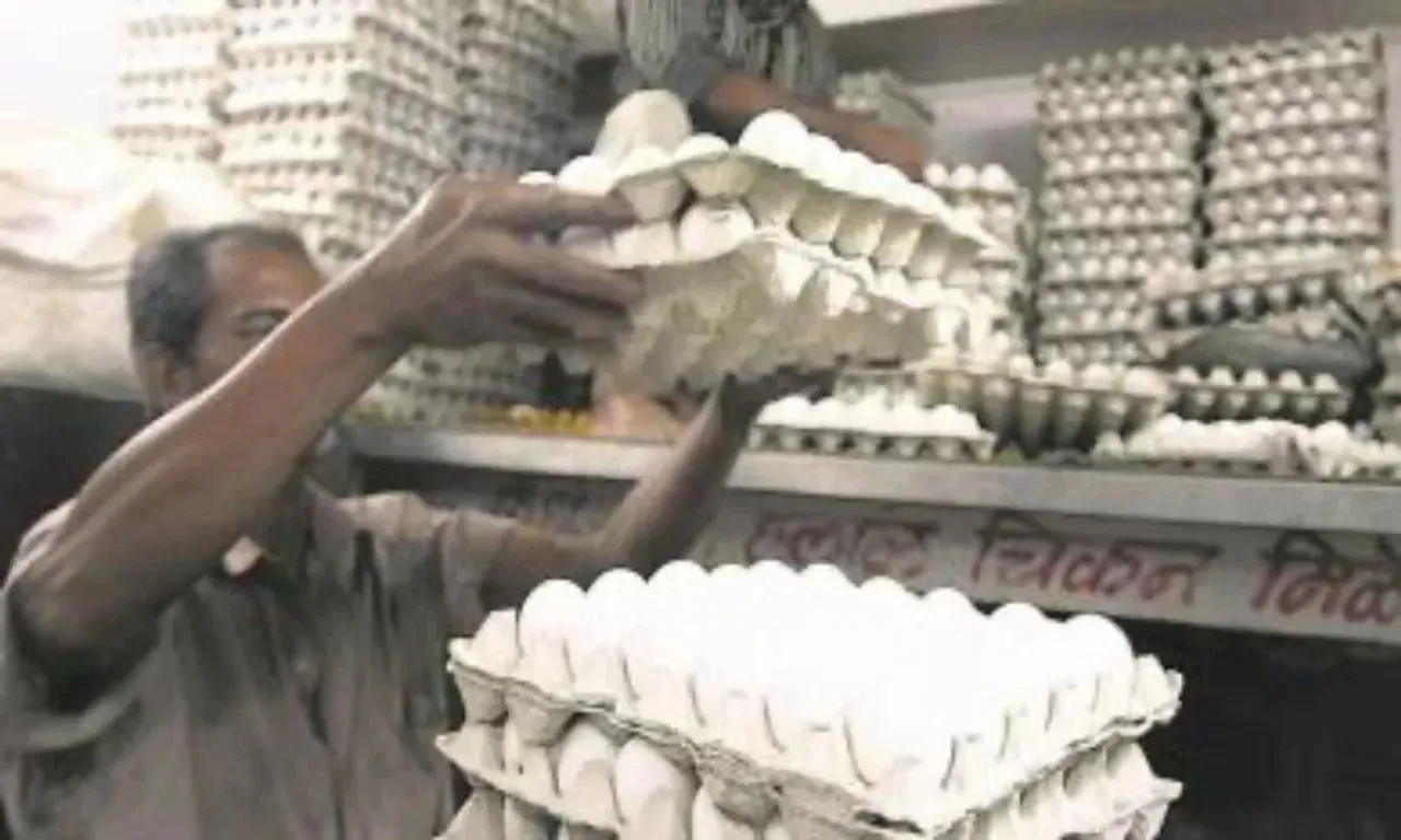 Egg Price Hike, ডিমের দাম বৃদ্ধি