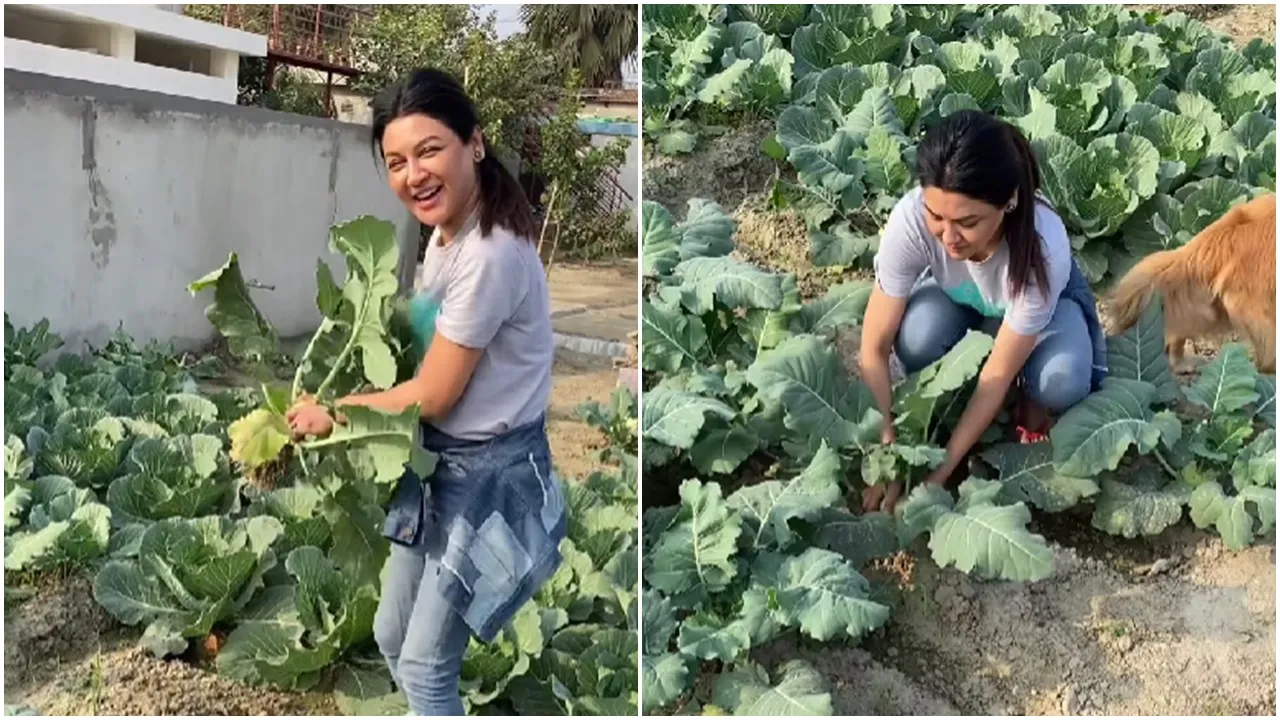 jaya ahsan did farming