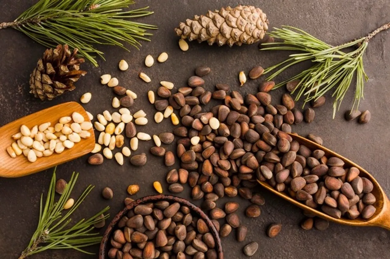 Dry Fruits to Avoid Daily: কিছু ড্রাই ফ্রুটস আছে যা প্রতিদিন এড়িয়ে চলা উচিত
