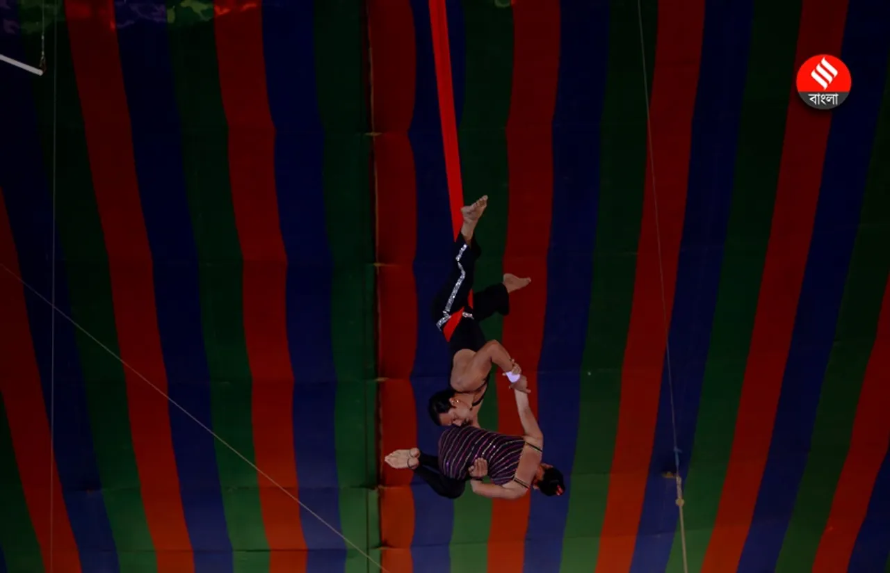 circus 5