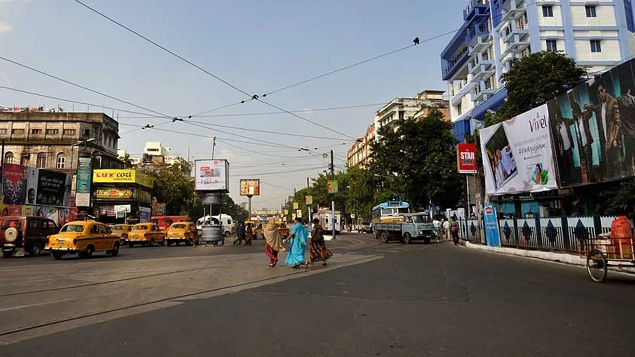 kolkata news,arrested,stf,kolkata police,গ্রেফতার,কলকাতার খবর,এসটিএফ