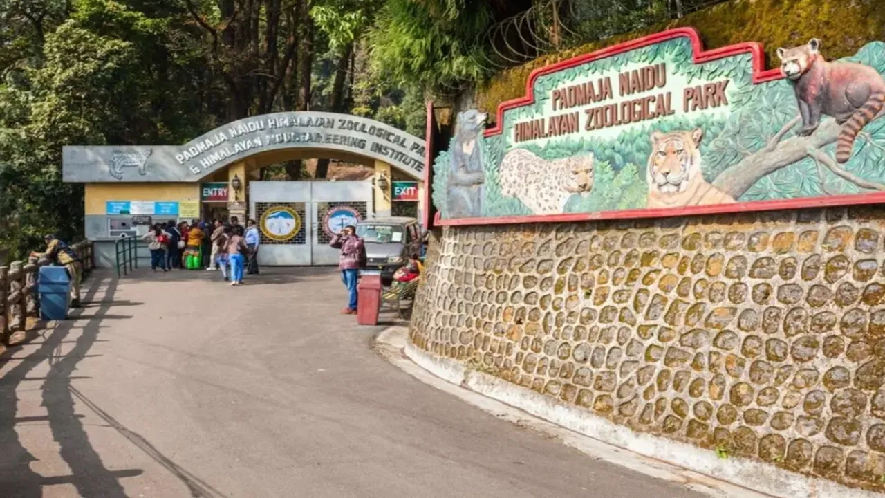 Padmaja Naidu Himalayan Zoological Park,Darjeeling,extreme cold,heaters,west bengal news,পদ্মজা নাইডু হিমালয়ান জুলজিক্যাল পার্ক,দার্জিলিং,হিটার