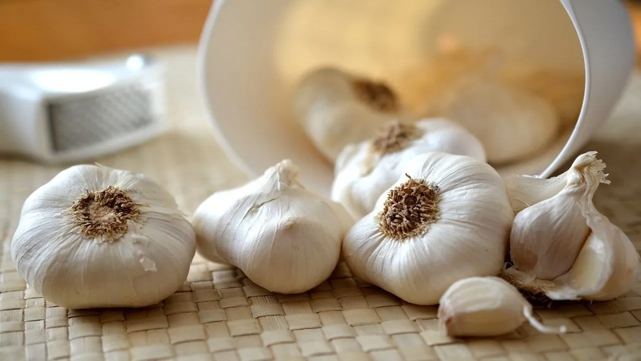 How To Identify Original Garlic: রসুন আসল না নকল চিনবেন কীভাবে?