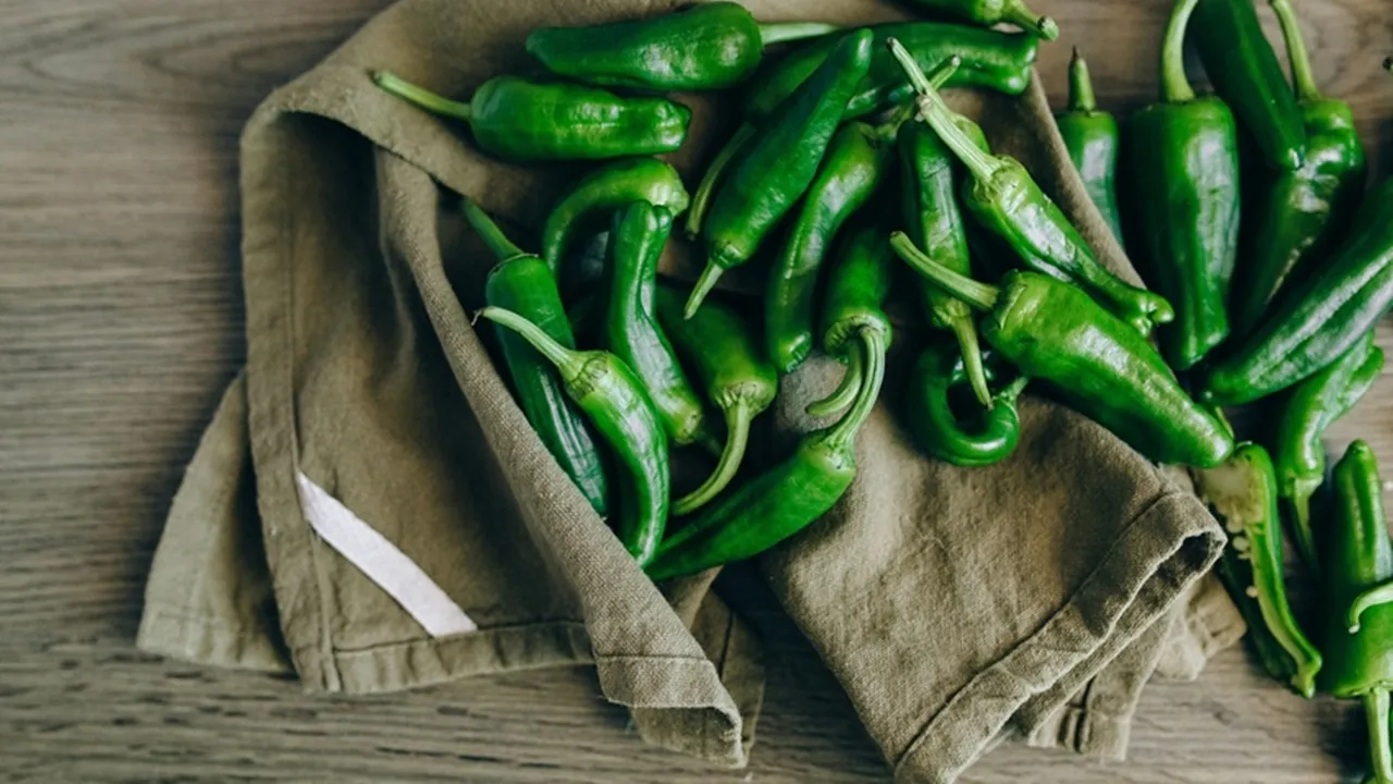 Health Benefits of Green Chilli: কাঁচালঙ্কা শুধু খাবারের স্বাদই বাড়ায় না, স্বাস্থ্যের জন্যও অনেক উপকারী