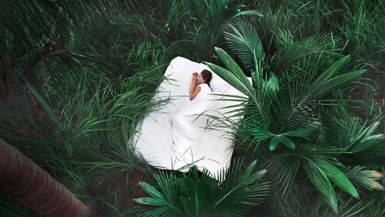 What is Sleep Tourism: আজকাল স্লিপ ট্যুরিজম ট্রেন্ডিং