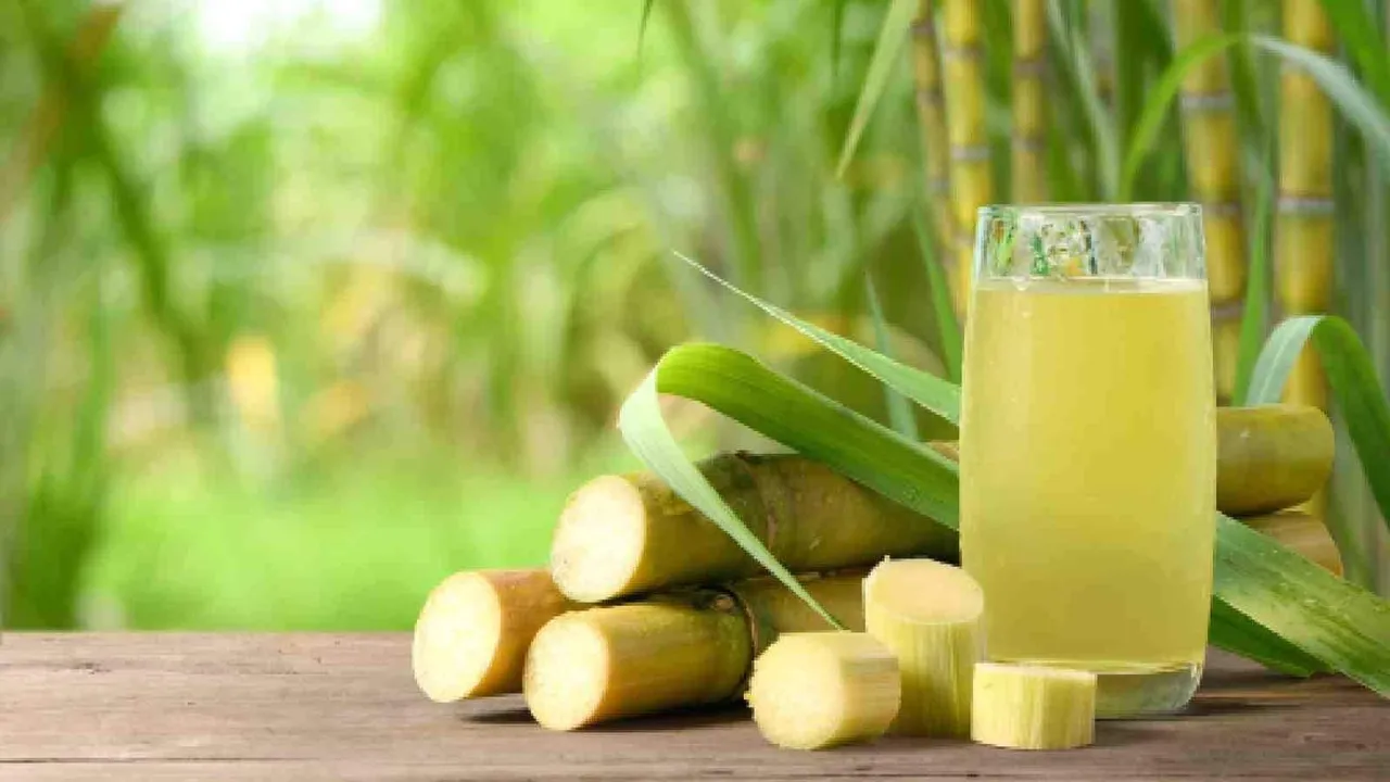 Sugarcane Juice: আখ দিয়ে হাইড্রেটিং জ্যুস বানাতে পারেন