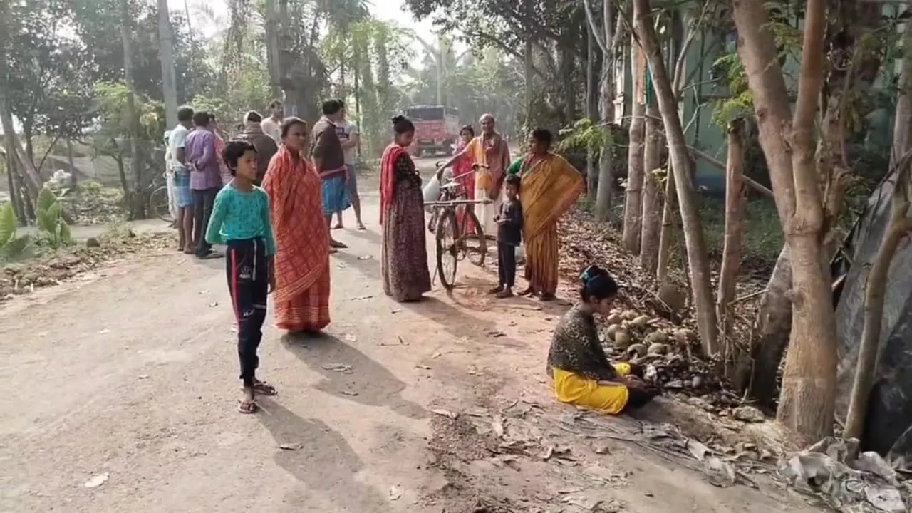 Gaighata News,North 24 Parganas News,marriage,west bengal news,latest bengali news,bengali news,গাইঘাটার খবর