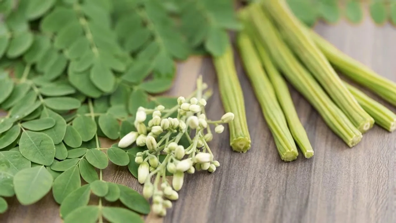 Moringa Leaves: এই সবজি এবং এর পাতা স্বাস্থ্যর জন্য অত্যন্ত উপকারী