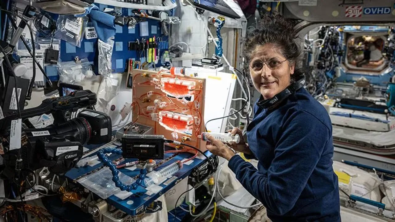 Sunita Williams: পৃথিবীতে ফিরে আসার পর কী কী চ্যালেঞ্জের মুখোমুখি সুনিতা উইলিয়ামস?