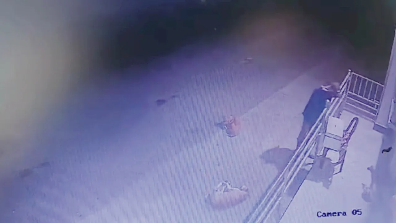 Police Started Investigation on Barasat Boro kali temple robbery case CCTV footage goes viral 