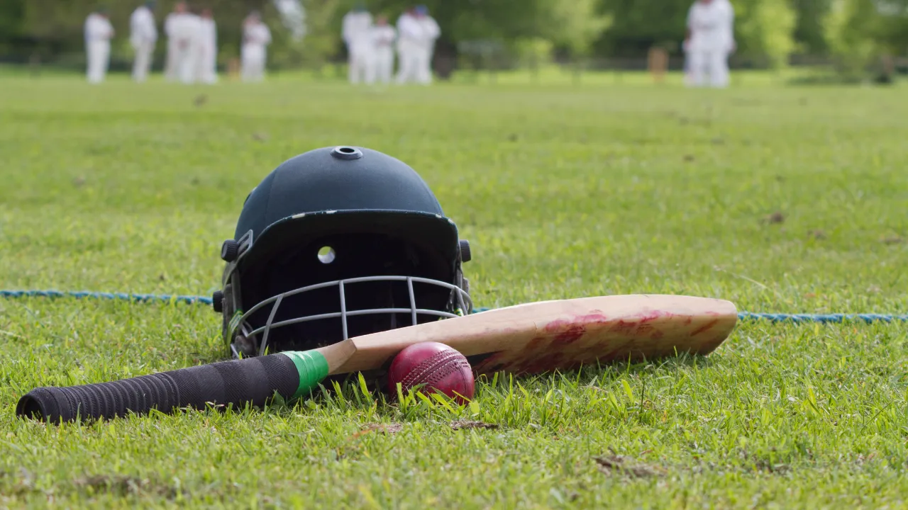 Cricket Image