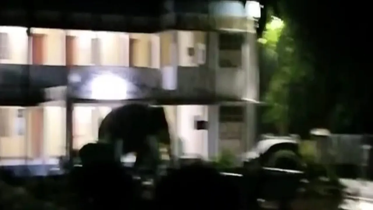 Elephant enters at North Bengal University campus,উত্তরবঙ্গ বিশ্ববিদ্যালয়ে হাতির হানা
