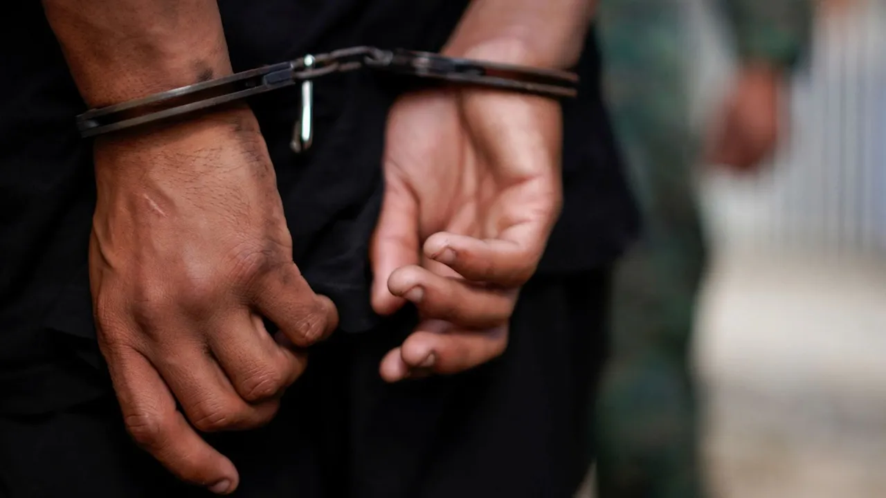 actor's in-laws arrest 