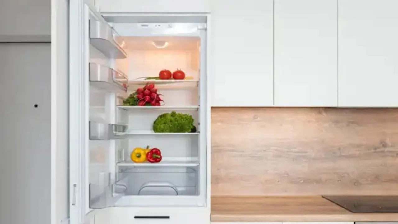 Fridge care tips