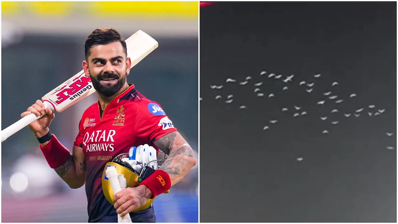 Kohli fans tribute in white jersey: মনে হচ্ছিল যেন আকাশের পাখিরাও তাঁকে স্যালুট জানাতে এসেছে