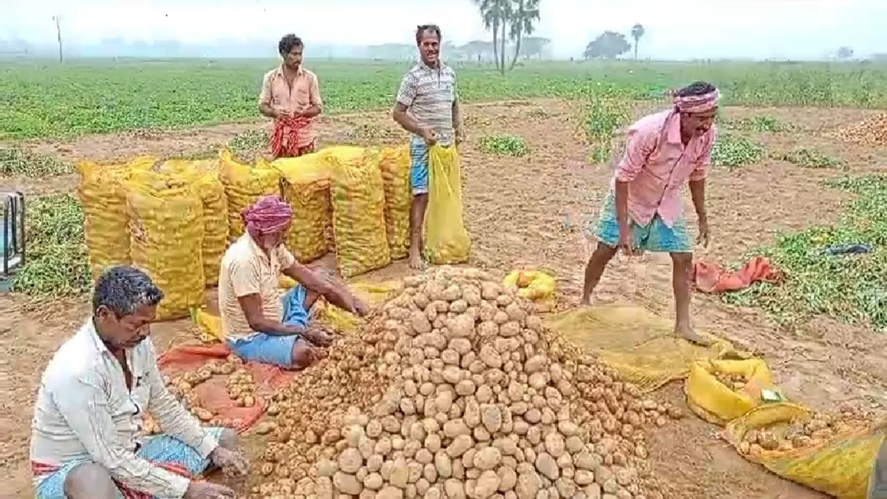 East Burdwan crop insurance fraud,Purba Bardhaman crop insurance scam,crop insurance scam,   East Burdwan,Bardhaman News,west bengal news today,latest bengali news,পূর্ব বর্ধমান, শষ্যবিমা নিয়ে দুর্নীতি
