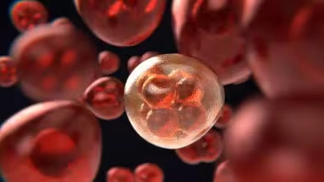 blood-cancer-treatment-9-days-formaldehyde-danger