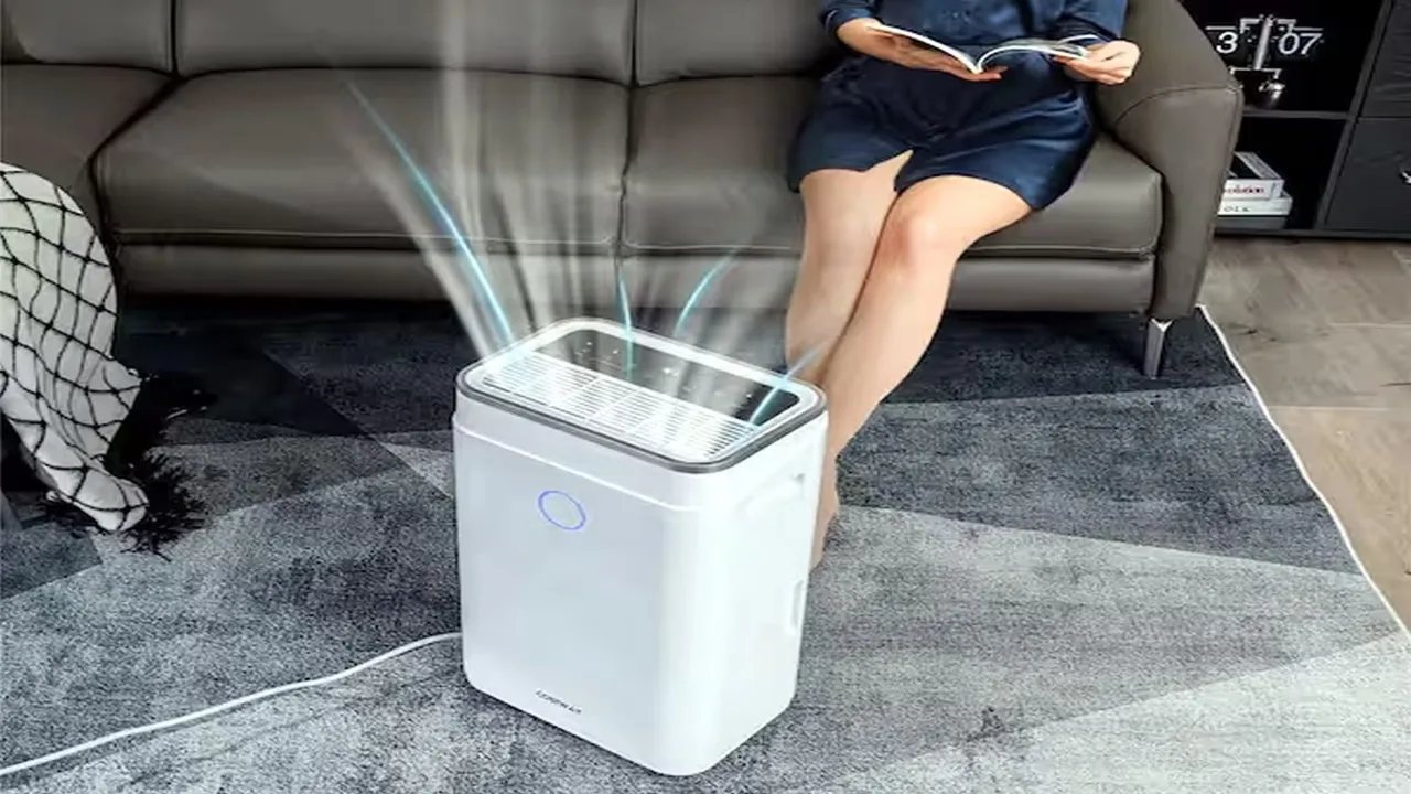dehumidifier-vs-ac-humidity-solution-monsoon-bangla