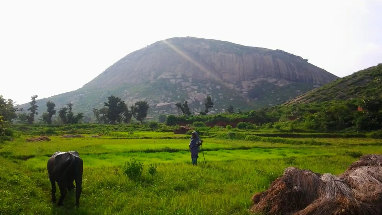 Jhalda tourism  ,Mini Pahalgam  ,Purulia travel,  Murguma Dam  ,Ayodhya Hills  ,Chhau dance  ,Jungle safari,  West Bengal tourism,  Nature lovers' destination,  Hill station getaway,ঝালদা পর্যটন,  মিনি পহেলগাঁও  ,পুরুলিয়া ভ্রমণ  ,মুরগুমা ড্যাম,  অযোধ্যা পাহাড়  ,ছৌ নৃত্য,  জঙ্গল সাফারি  ,পশ্চিমবঙ্গ পর্যটন,  প্রকৃতি প্রেমী গন্তব্য,  পাহাড়ি ভ্রমণ