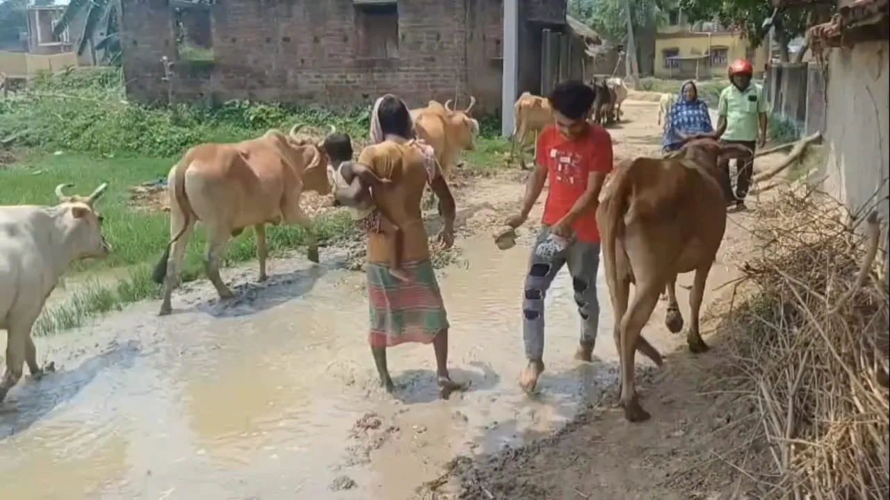  Bhatar road crack,  Purba Bardhaman road issue,  village road damage,  students stop attending school , dilapidated rural infrastructure,  school attendance affected by road conditions,ভাতার রাস্তা ফাটল,  পূর্ব বর্ধমান রাস্তা সমস্যা,গ্রাম রাস্তা বিপর্যয়  ,স্কুলে যাওয়া বন্ধ ছাত্রছাত্রী  ,রাস্তার বেহাল অবস্থা  ,গ্রামীণ পরিকাঠামো সমস্যা