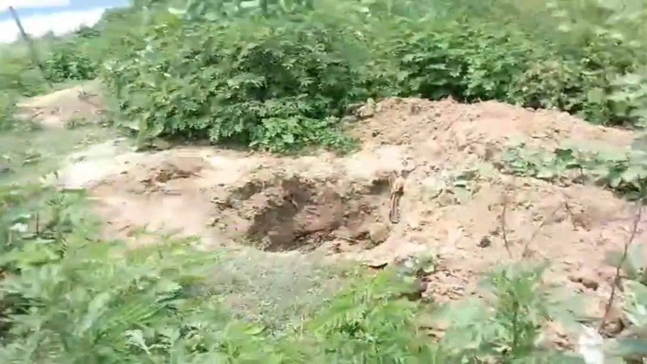Nabadwip crematorium  ,grave excavation,  body theft,  skeleton missing,  police investigation,  Nabadwip police  ,illegal body trafficking  ,temple ground scandal  ,political controversy,  administrative negligence,নবদ্বীপ শ্মশান,  সমাধি খোঁড়াই,  মৃতদেহ চুরি  ,কঙ্কাল উধাও  ,পুলিশি তদন্ত,  নবদ্বীপ থানা  ,নবদ্বীপ মহাশ্মশান,  দেহ পাচার,  রাজনৈতিক বাদানুবাদ  ,প্রশাসনিক অবহেলা