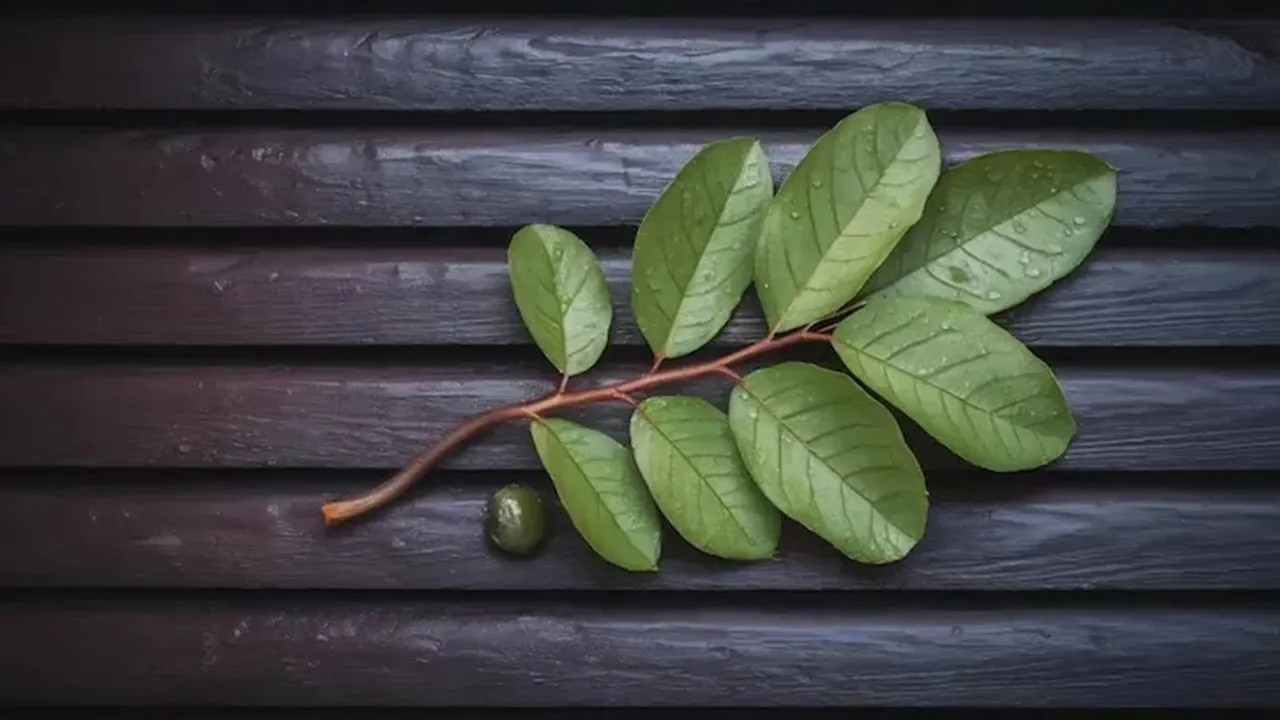 Guava Leaf Hair Remedy