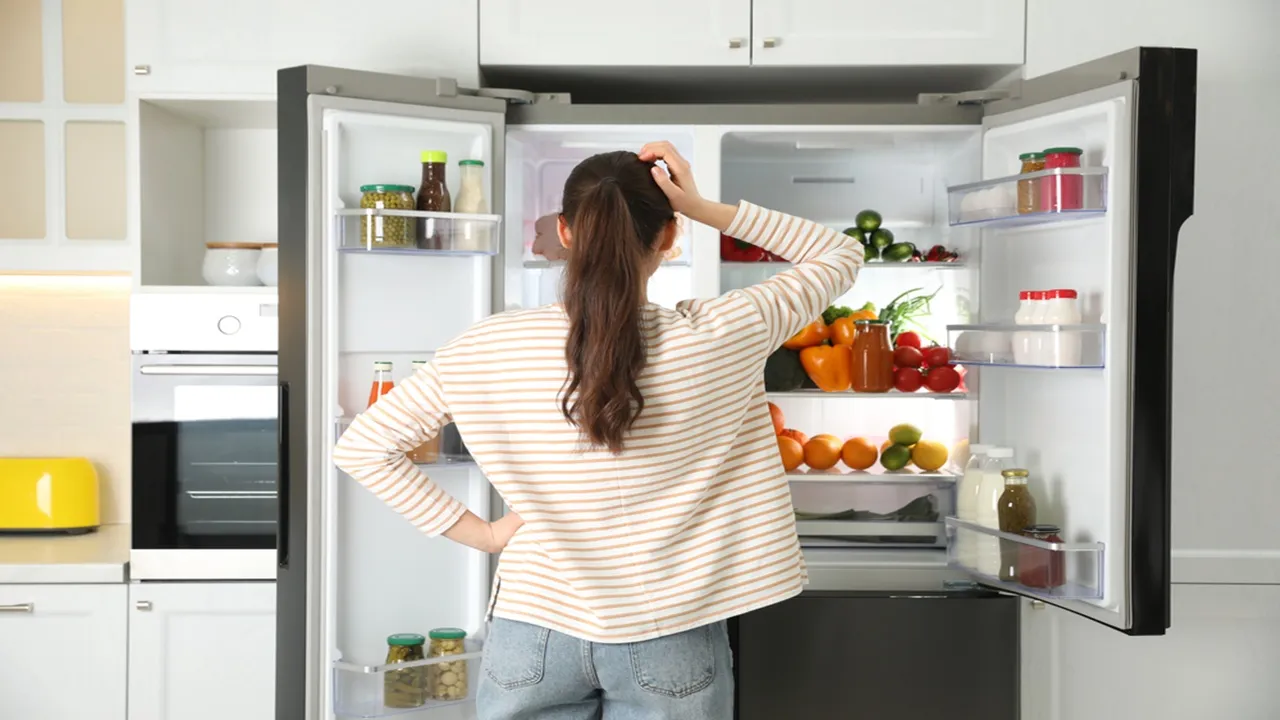 power outage fridge food safety