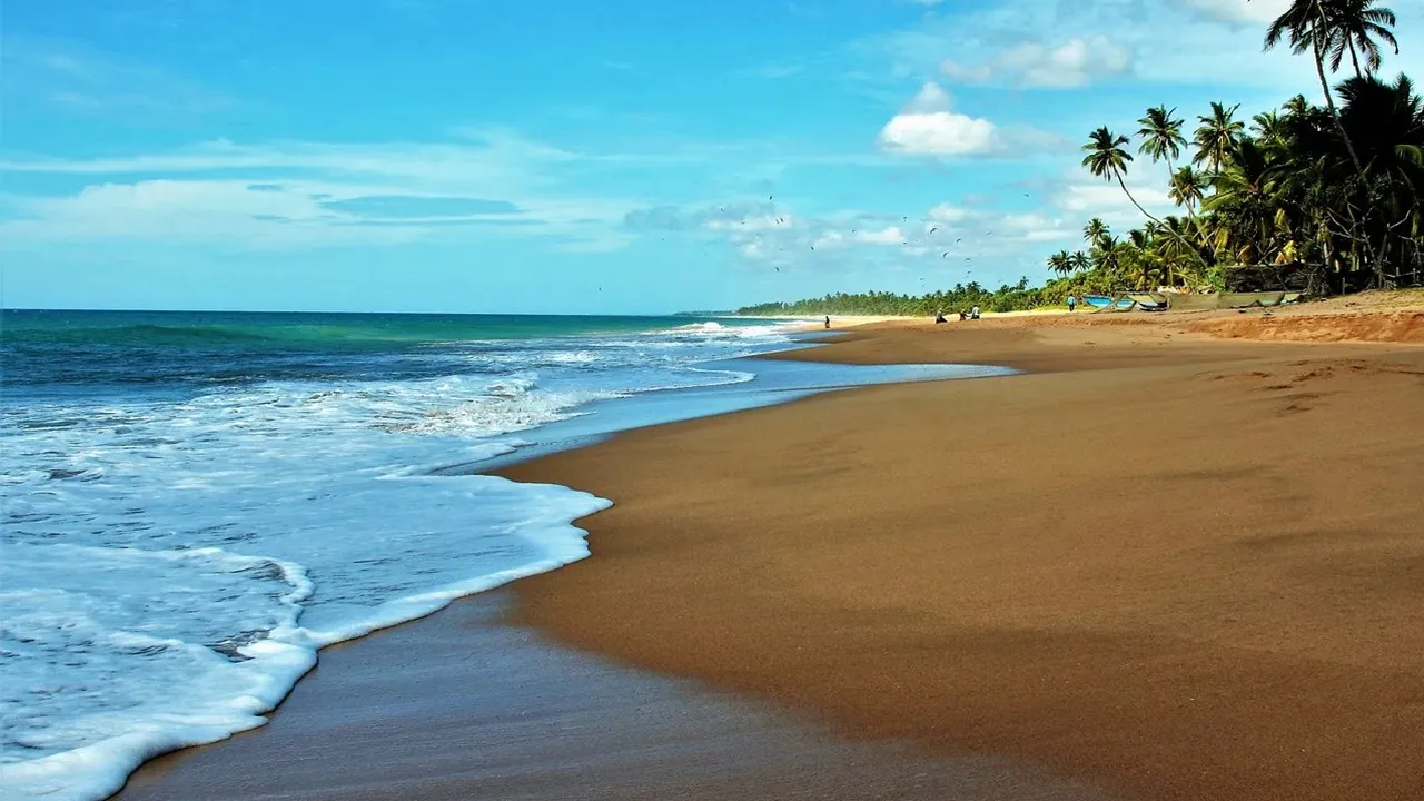 Dakshin Purushottampur beach Purba Medinipur  ,Offbeat beach near Mandarmani,  weekend trip monsoon beach Bengal  ,South Purushottampur red crab beach  ,secluded seaside getaway West Bengal,দক্ষিণ পুরুষোত্তমপুর সমুদ্র সৈকত,  পূর্ব মেদিনীপুর অফবিট বিচ  ,বর্ষায় উইকেন্ড ট্রিপ সমুদ্র সৈকত,  লাল কাঁকড়া বিচ,  মন্দারমণি পাশে নিরিবিলি বিচ