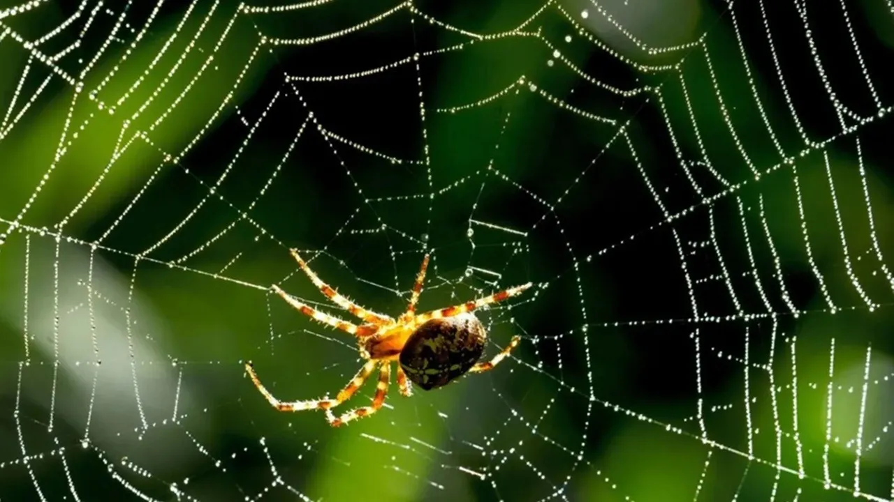 Animals that eat their mother