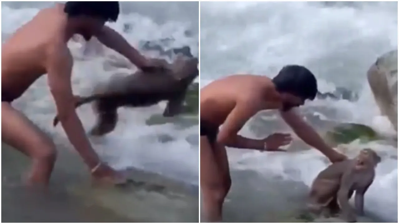 Viral Video