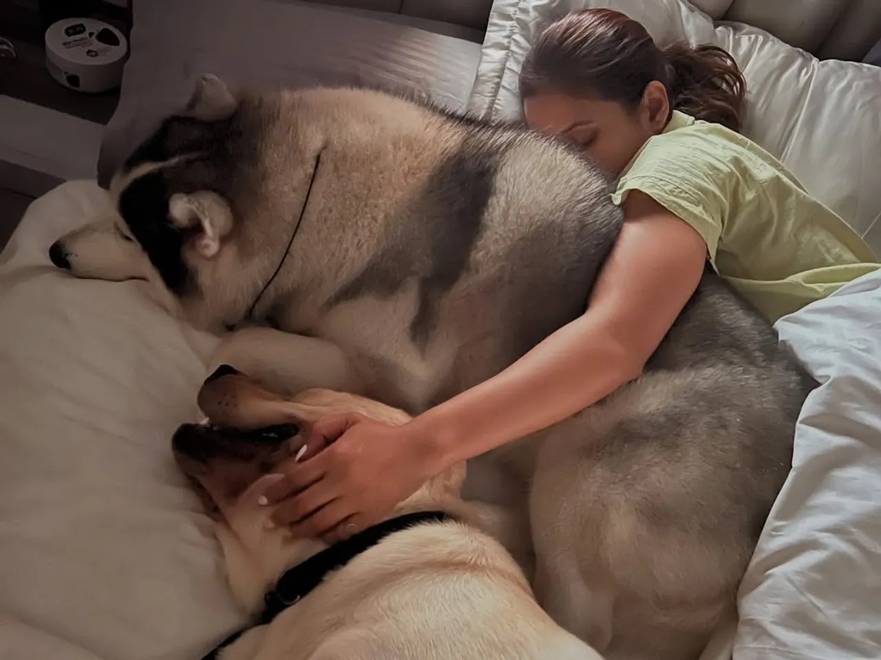 My world 🌍 My lifelines 💕My happiness 🐒 🐶 To all pet parents 💕💕💕🐒🐒🐒 #happypetday (1)