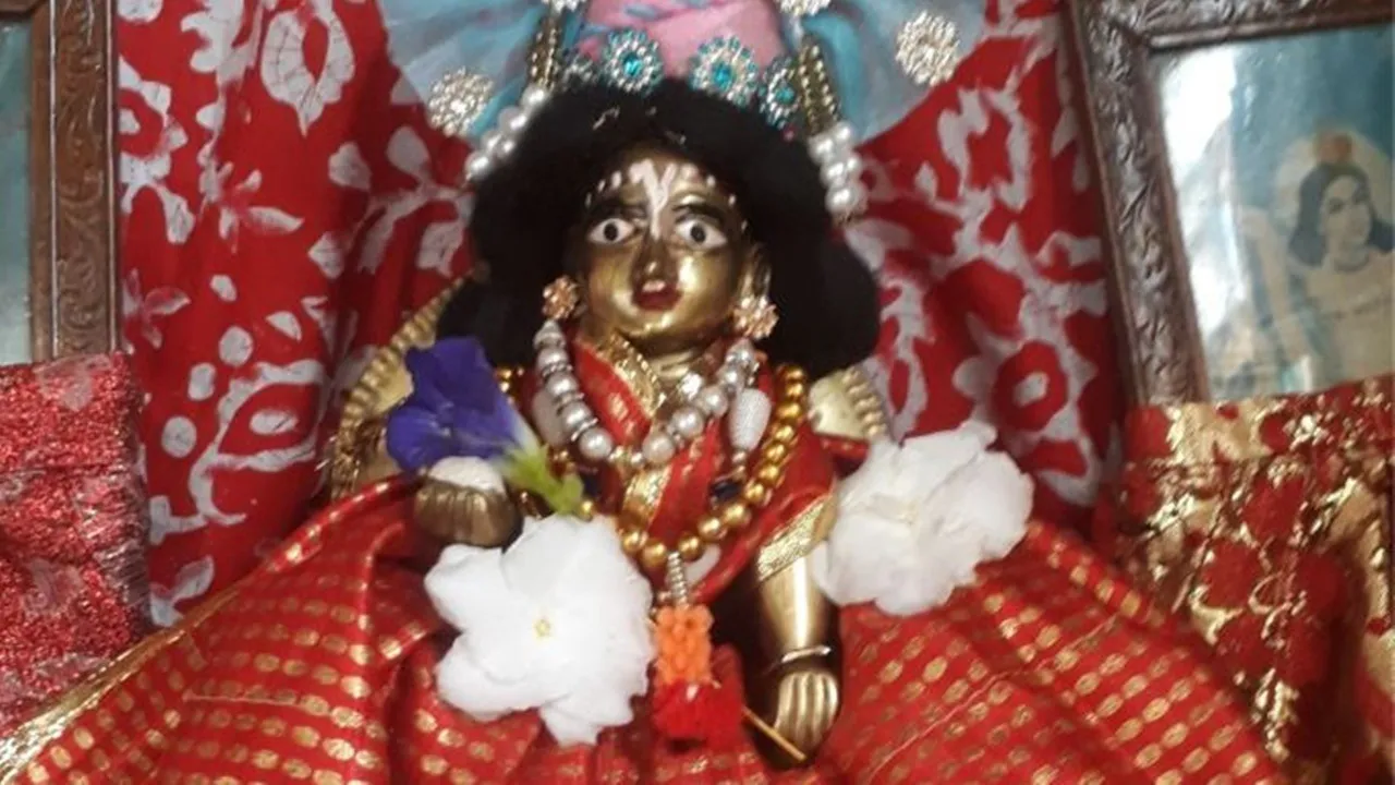 Laddu Gopal 2