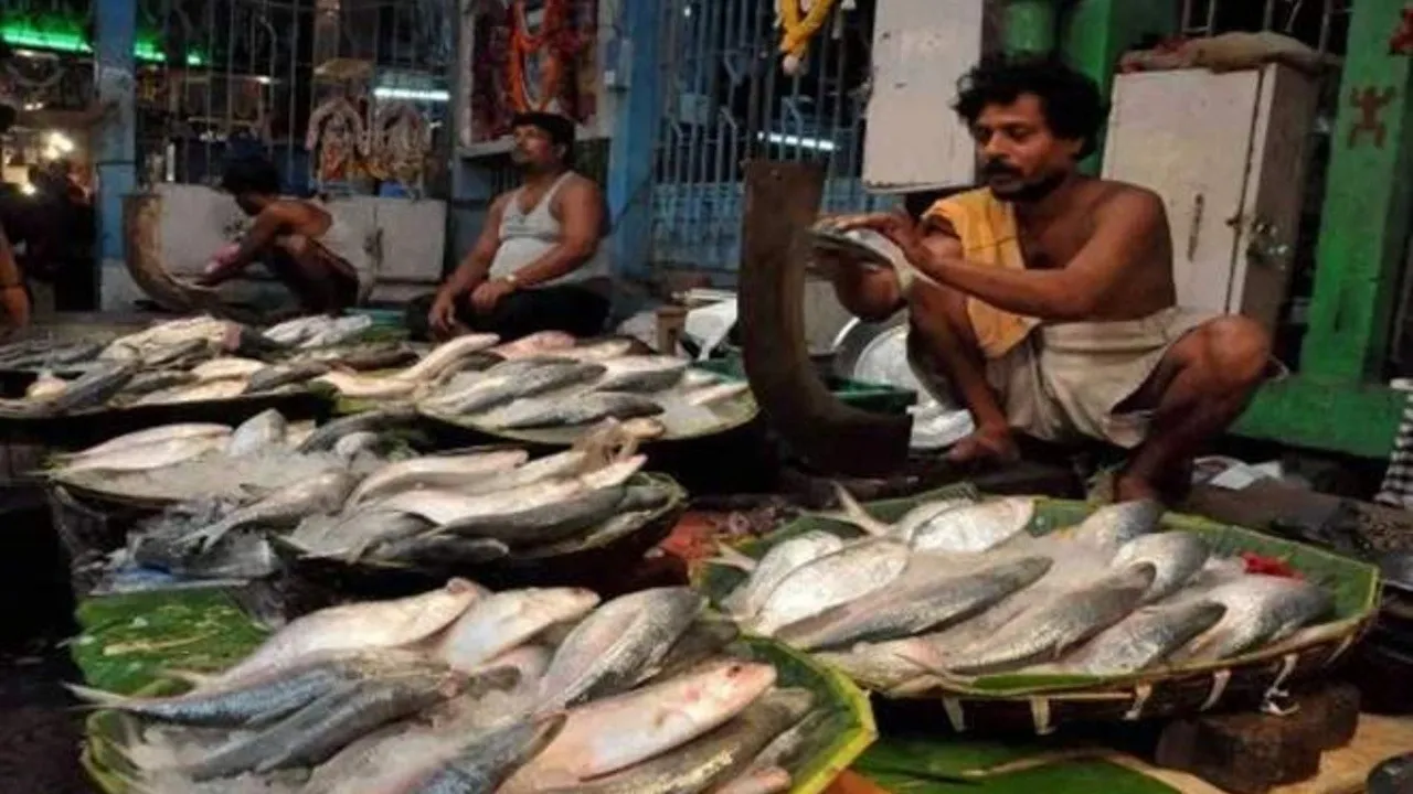 hilsa bangladesh