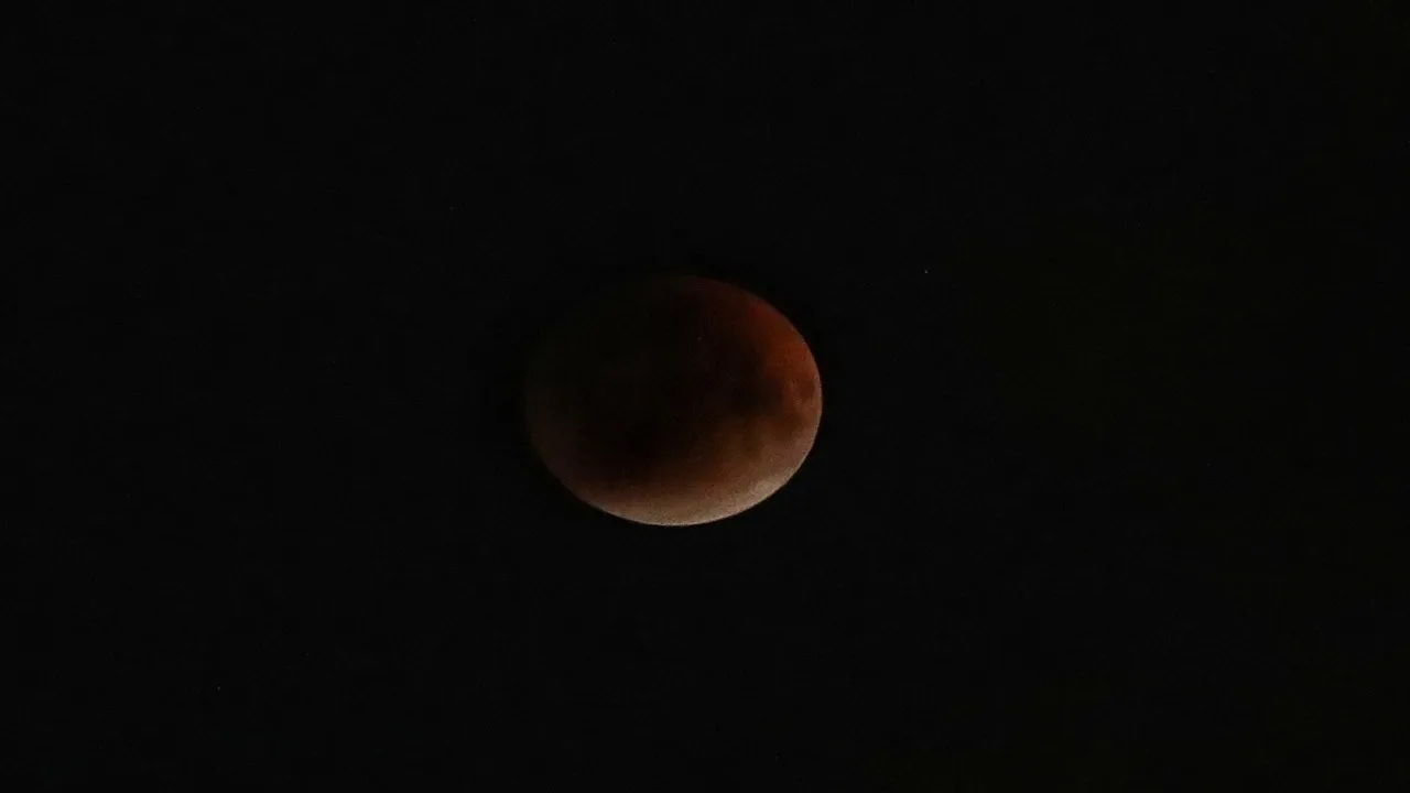 Partha Pal Moon 2