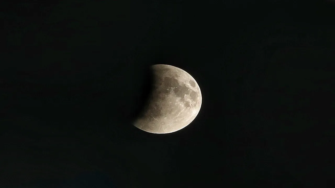 Partha Pal Moon