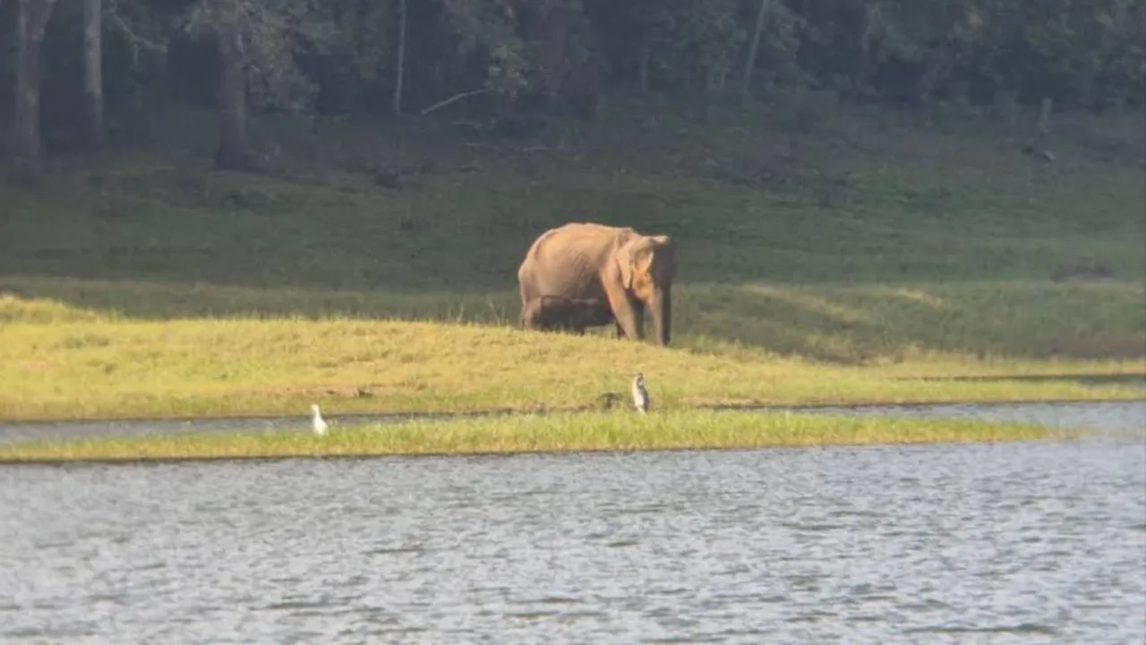 Kerala Tour 10