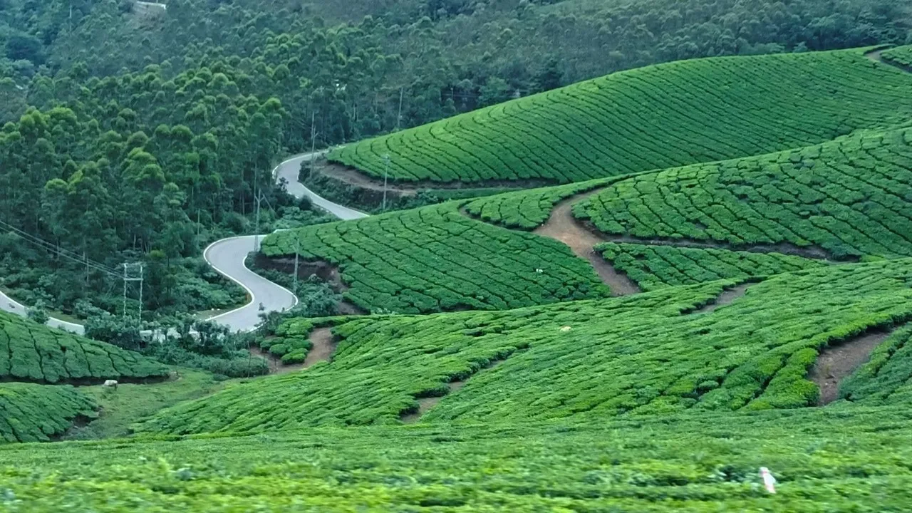 Kerala Tour 14