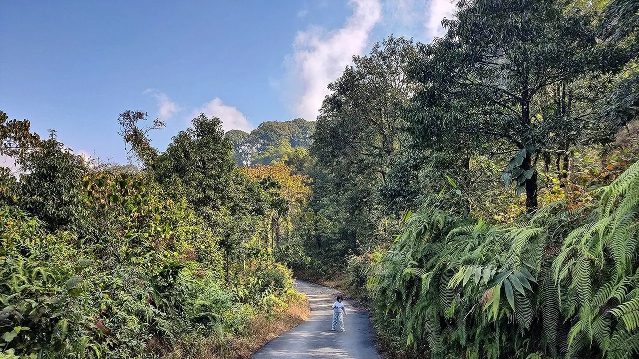 Jhandi Offbeat Destination 6