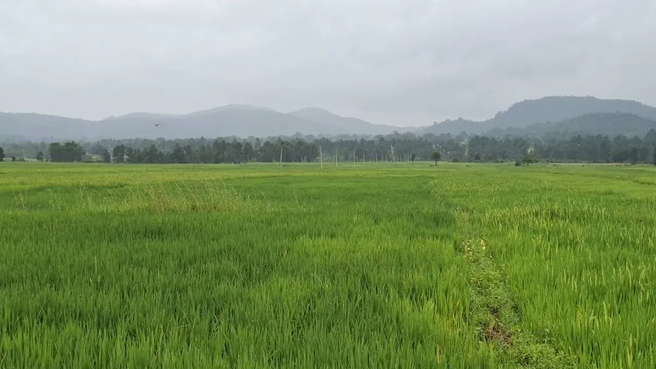 Keonjhar 7