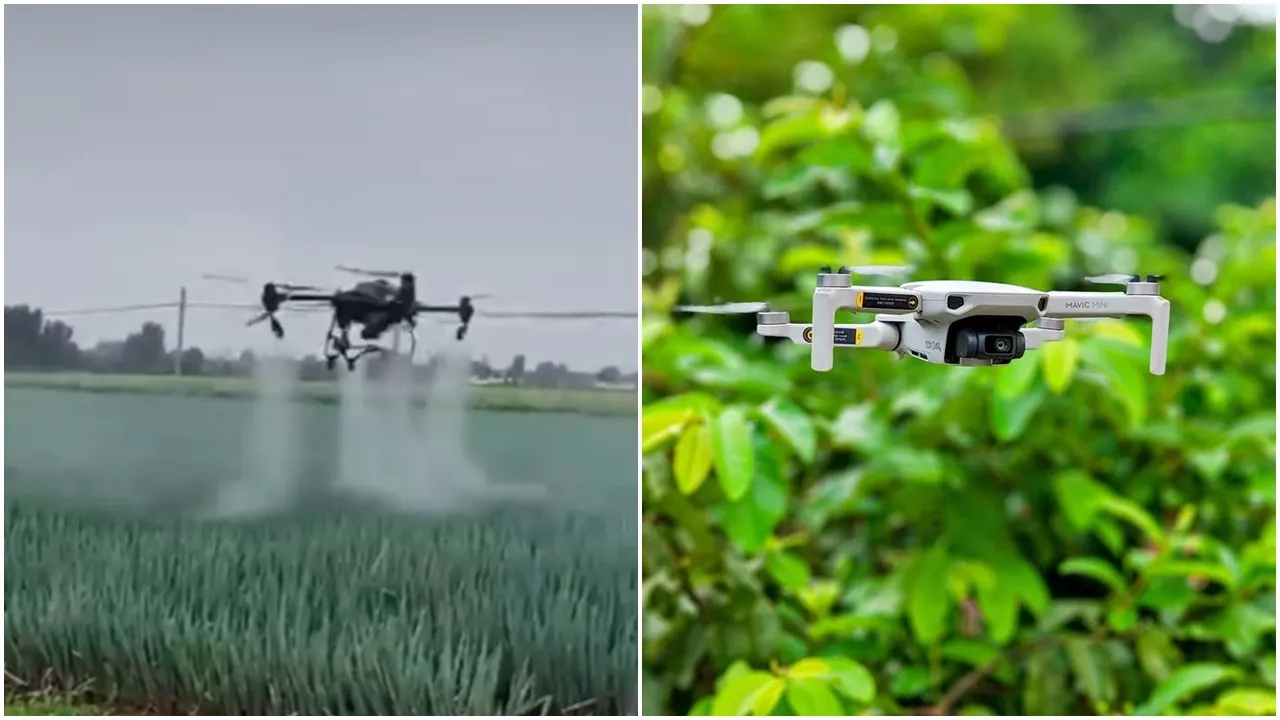 Drone