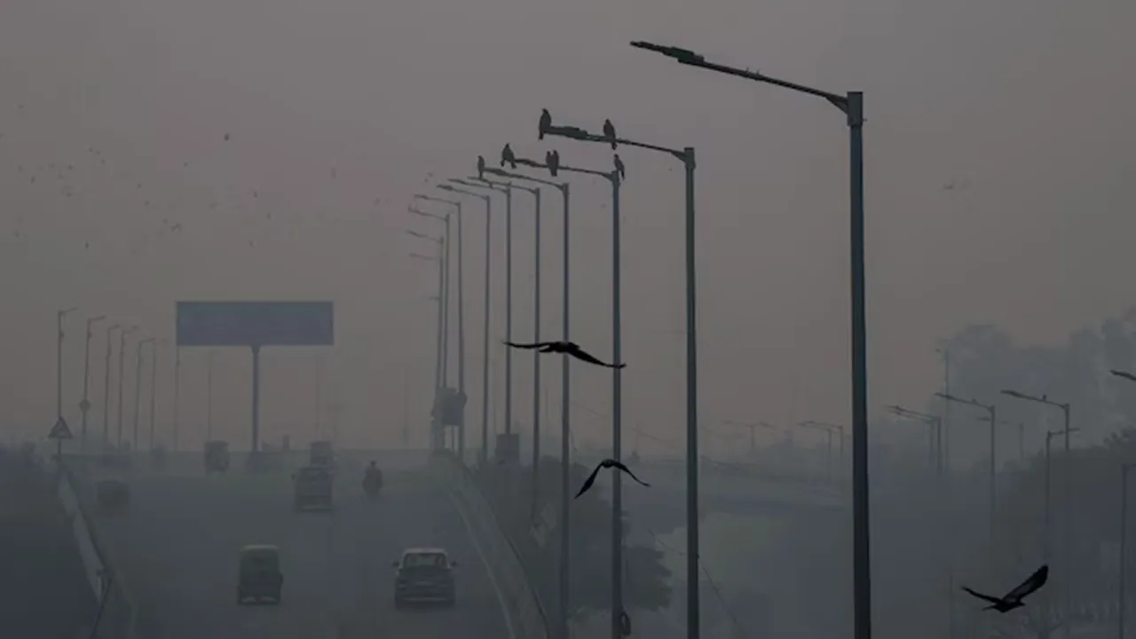 delhi-toxic-air-diwali-green-firecracker-supreme-court-2025