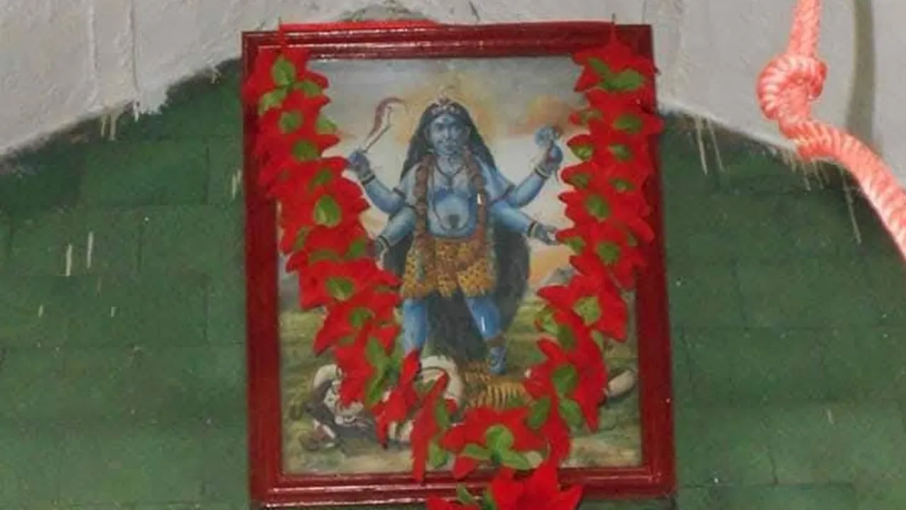 Tara 4