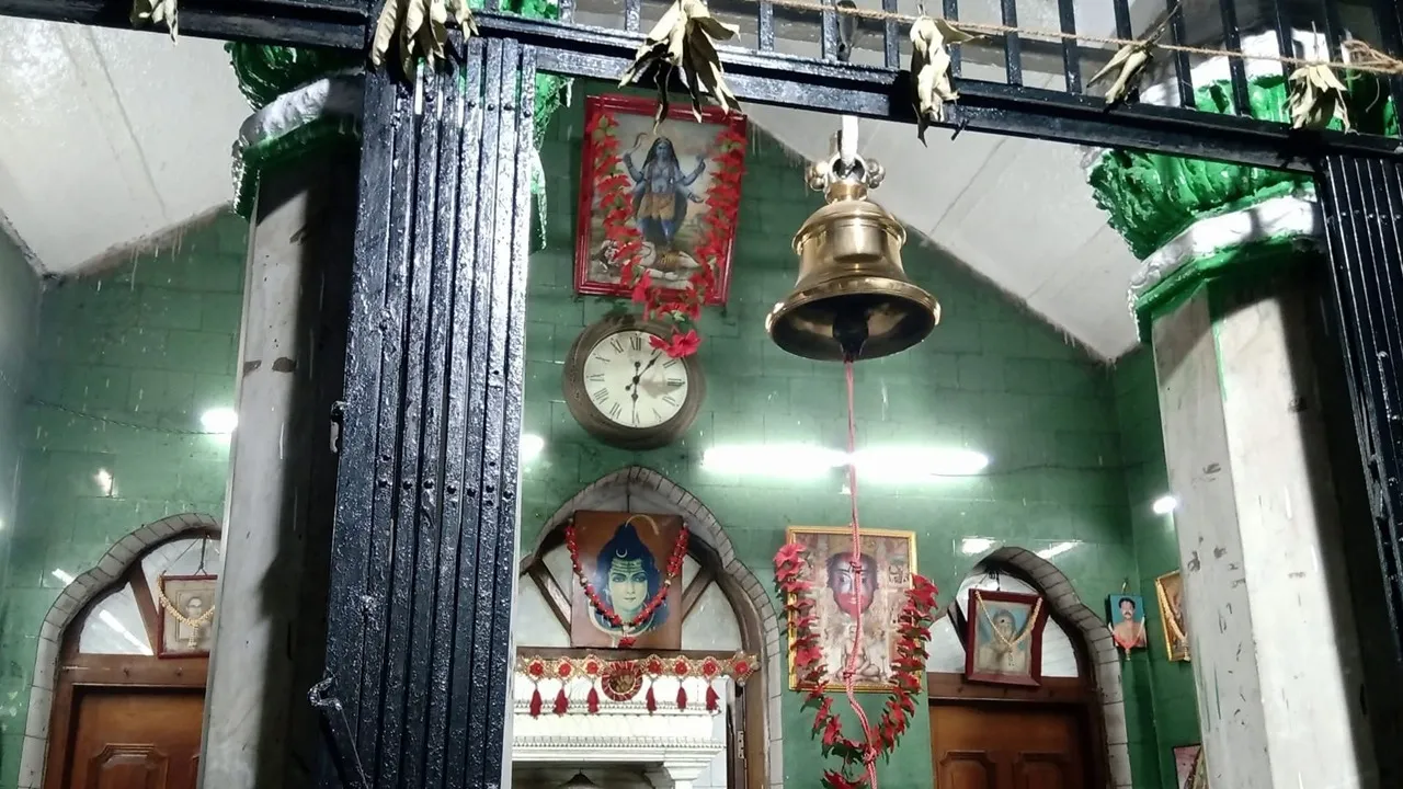 Tara 5
