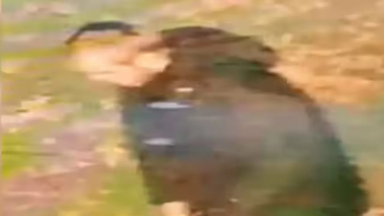 A 20-year-old Indian-origin woman was allegedly raped in Walsall