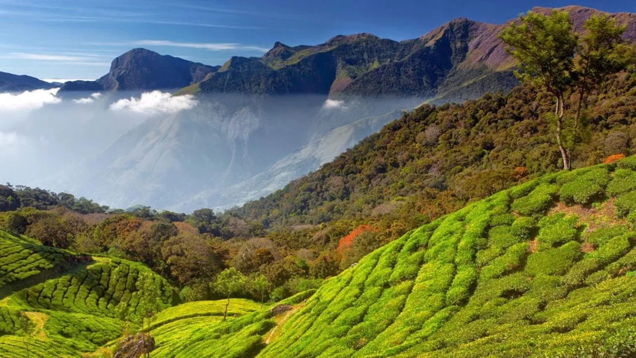 Rishyihat Darjeeling, offbeat places in Darjeeling, Rishyihat village, Darjeeling hidden gem, Darjeeling travel guide, Darjeeling offbeat destination, tea garden homestay, Kanchenjunga view point, Rishyihat tourism, Darjeeling nature travel,রিশিহাট দার্জিলিং, দার্জিলিং অফবিট ট্যুর, অফবিট পাহাড়ি গ্রাম, রিশিহাট ভ্রমণ, রিশিহাট হোমস্টে, দার্জিলিংয়ের চা-বাগান, কাঞ্চনজঙ্ঘা দর্শন, দার্জিলিংয়ের অজানা জায়গা, প্রকৃতির গ্রাম রিশিহাট, পাহাড়ে ভ্রমণ