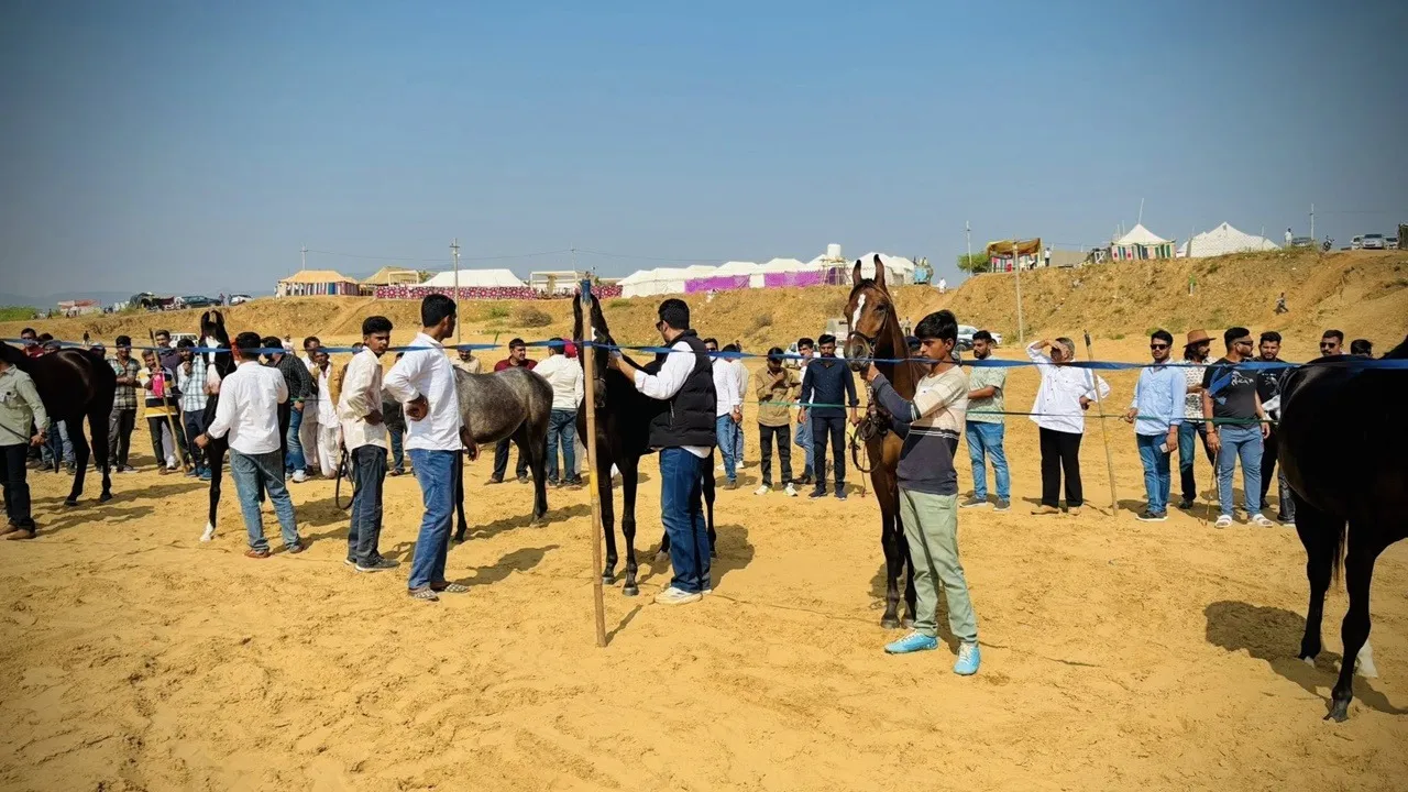Pushkar Mela 5