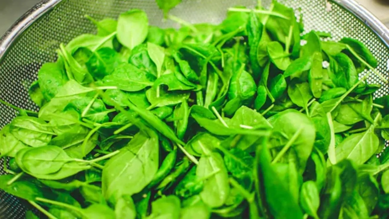 Respiratory System and Food 5